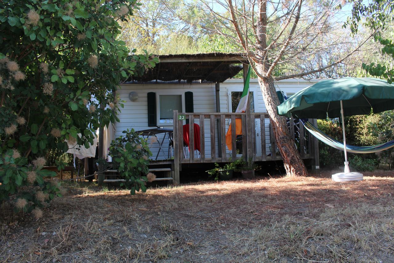 Camping Forcalquier Les Routes De Provence Hotel Eksteriør billede